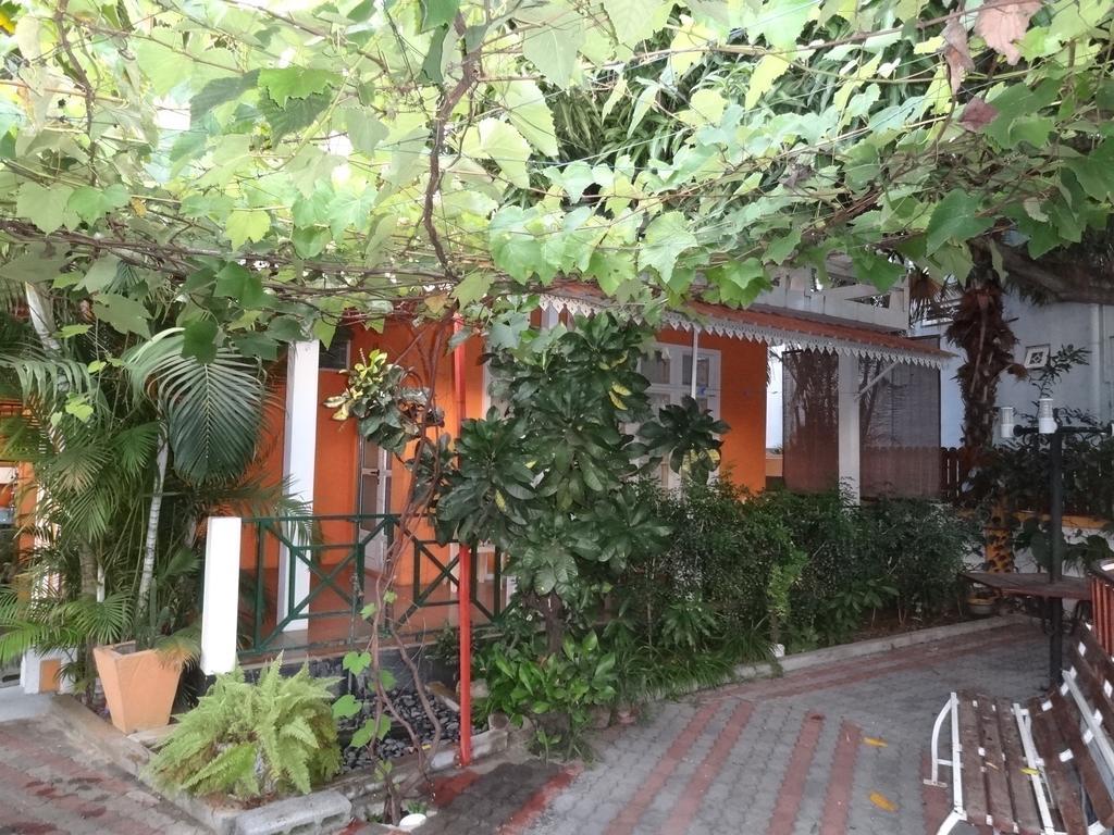 Son House Studio Flic en Flac Екстер'єр фото